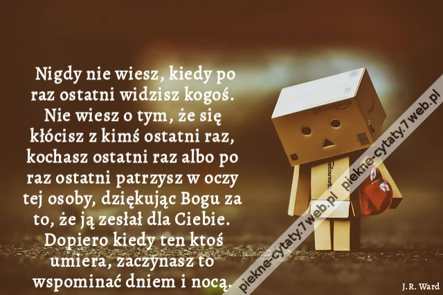 Nigdy nie wiesz, kiedy po raz ostatni widzisz kogoś. Nie wiesz o tym, że się kłócisz z kimś ostatni raz, kochasz ostatni raz albo po raz ostatni patrzysz w oczy tej osoby, dziękując Bogu za to, że ją zesłał dla Ciebie. Dopiero kiedy ten ktoś umiera, zacz