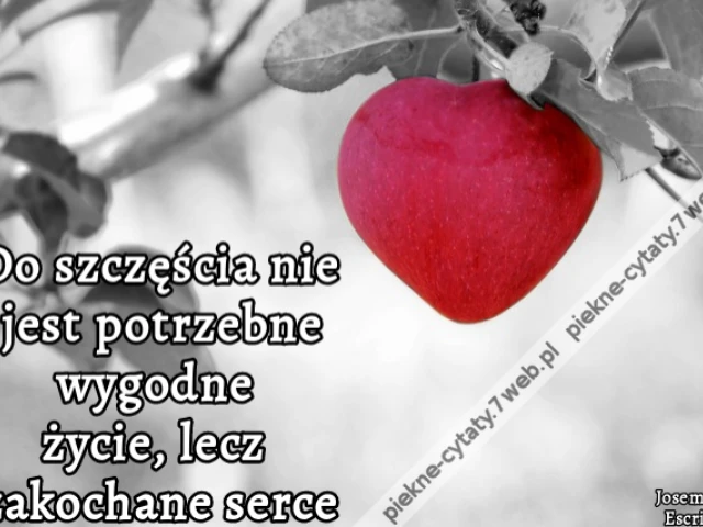 Do szczęścia nie jest potrzebne wygodne życie, lecz zakochane serce