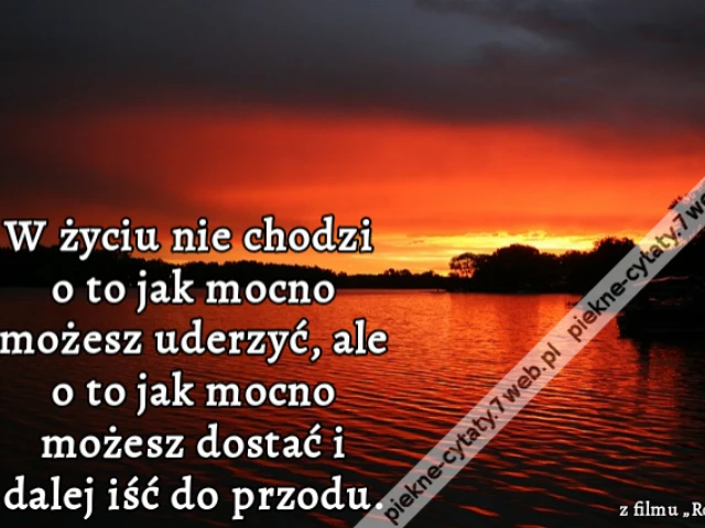 W życiu nie chodzi o to jak mocno możesz uderzyć, ale o to jak mocno możesz dostać i dalej iść do przodu.