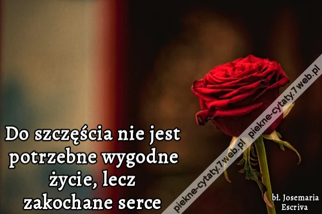 Do szczęścia nie jest potrzebne wygodne życie, lecz zakochane serce