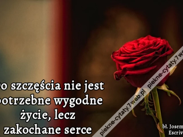 Do szczęścia nie jest potrzebne wygodne życie, lecz zakochane serce