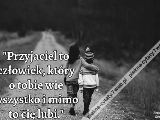 Przyjaciel to człowiek, który o tobie wie wszystko i mimo to cię lubi.