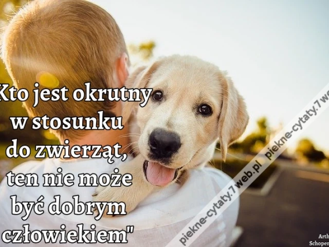Kto jest okrutny w stosunku do zwierząt, ten nie może być dobrym człowiekiem.