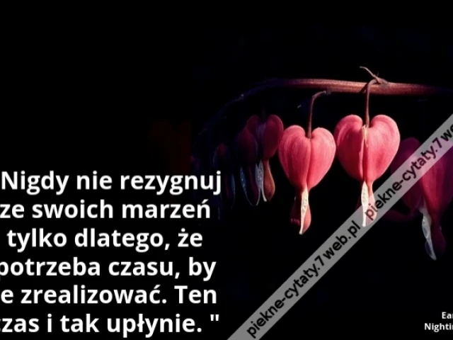 Nigdy nie rezygnuj ze swoich marzeń tylko dlatego, że potrzeba czasu, by je zrealizować. Ten czas i tak upłynie.