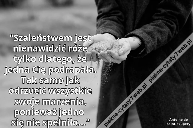 Szaleństwem jest nienawidzić róże tylko dlatego, że jedna Cię podrapała. Tak samo jak odrzucić wszystkie swoje marzenia, ponieważ jedno się nie spełniło…