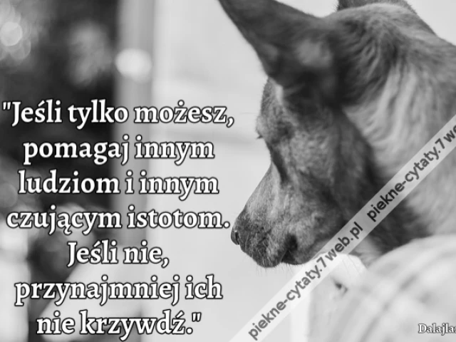 Jeśli tylko możesz, pomagaj innym ludziom i innym czującym istotom. Jeśli nie, przynajmniej ich nie krzywdź