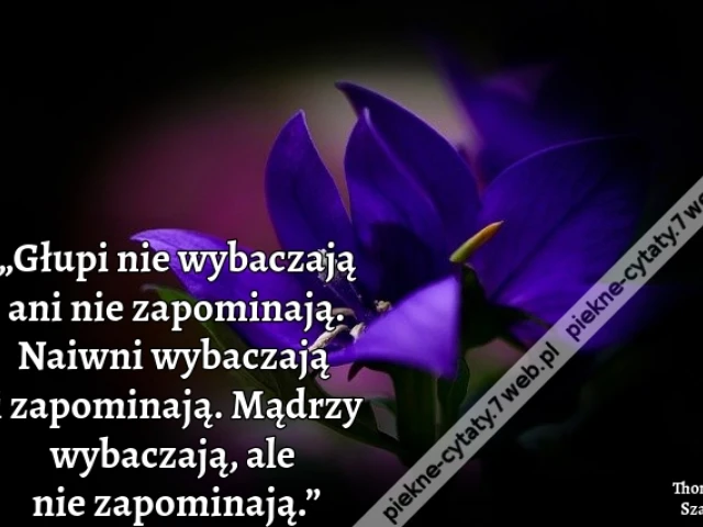 Głupi nie wybaczają ani nie zapominają. Naiwni wybaczają i zapominają. Mądrzy wybaczają, ale nie zapominają
