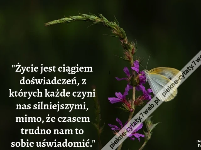 Życie jest ciągiem doświadczeń, z których każde czyni nas silniejszymi, mimo, że czasem trudno nam to sobie uświadomić.