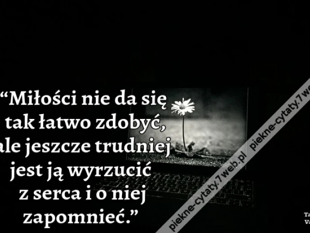 “Miłości nie da się tak łatwo zdobyć, ale jeszcze trudniej jest ją wyrzucić z serca i o niej zapomnieć.”