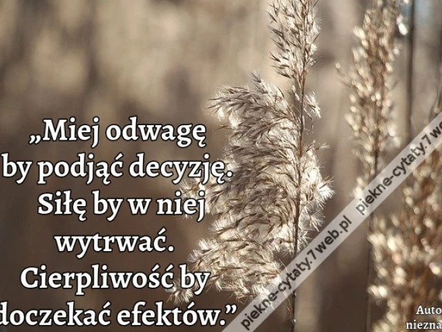 „Miej odwagę by podjąć decyzję. Siłę by w niej wytrwać. Cierpliwość by doczekać efektów.”