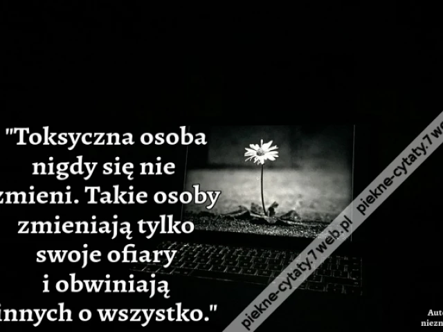 Toksyczna osoba nigdy się nie zmieni. Takie osoby zmieniają tylko swoje ofiary i obwiniają innych o wszystko.