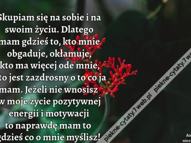 Skupiam się na sobie i na swoim życiu. Dlatego mam gdzieś to, kto mnie obgaduje, okłamuje, kto ma więcej ode mnie, kto jest zazdrosny o to co ja mam. Jeżeli nie wnosisz w moje życie pozytywnej energii i motywacji to naprawdę mam to gdzieś co o mnie myślis
