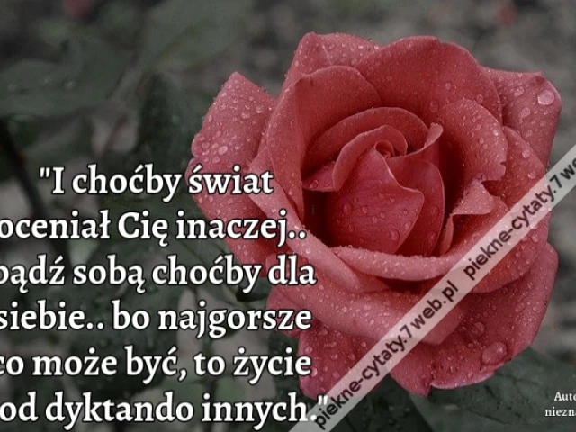 I choćby świat oceniał Cię inaczej.. bądź sobą choćby dla siebie.. bo najgorsze co może być, to życie pod dyktando innych.