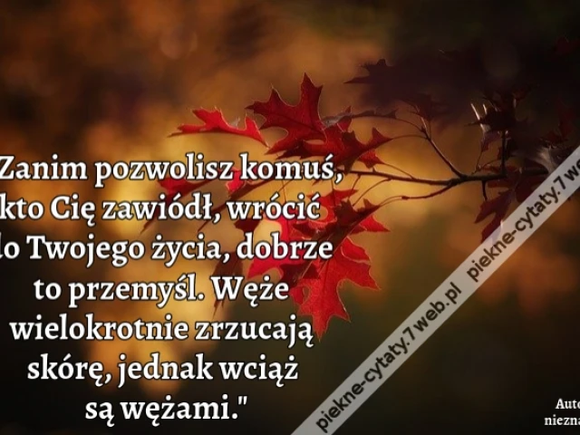 Zanim pozwolisz komuś, kto Cię zawiódł, wrócić do Twojego życia, dobrze to przemyśl. Węże wielokrotnie zrzucają skórę, jednak wciąż są wężami.