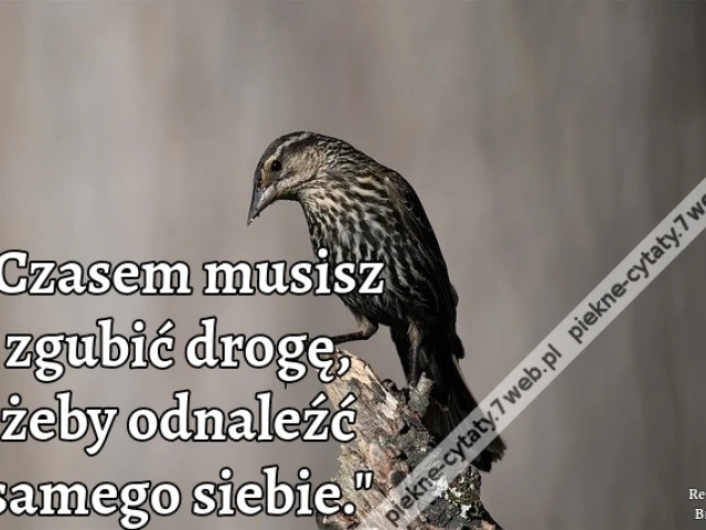 "Czasem musisz zgubić drogę, żeby odnaleźć samego siebie."