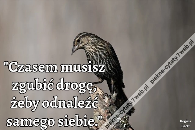 "Czasem musisz zgubić drogę, żeby odnaleźć samego siebie."