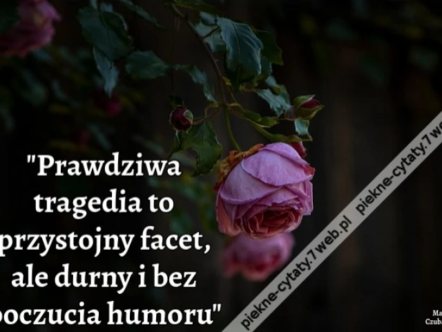 Prawdziwa tragedia to przystojny facet, ale durny i bez poczucia humoru.