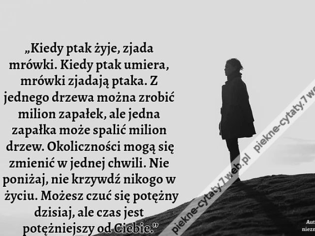 „Kiedy ptak żyje, zjada mrówki. Kiedy ptak umiera, mrówki zjadają ptaka. Z jednego drzewa można zrobić milion zapałek, ale jedna zapałka może spalić milion drzew. Okoliczności mogą się zmienić w jednej chwili. Nie poniżaj, nie krzywdź nikogo w życiu. Może