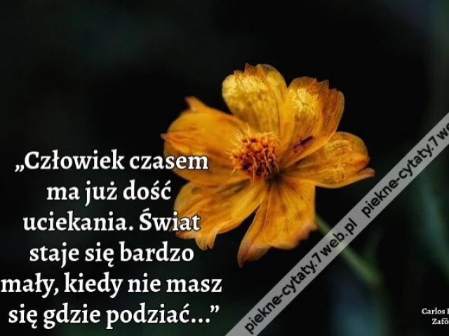 „Człowiek czasem ma już dość uciekania. Świat staje się bardzo mały, kiedy nie masz się gdzie podziać...”