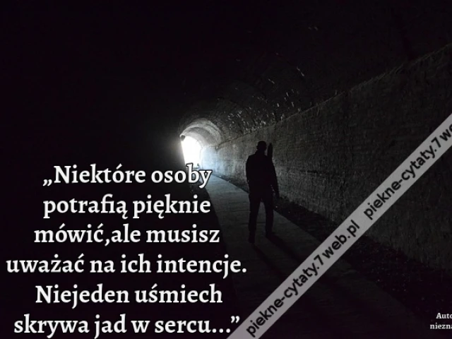 „Niektóre osoby potrafią pięknie mówić,ale musisz uważać na ich intencje. Niejeden uśmiech skrywa jad w sercu...”