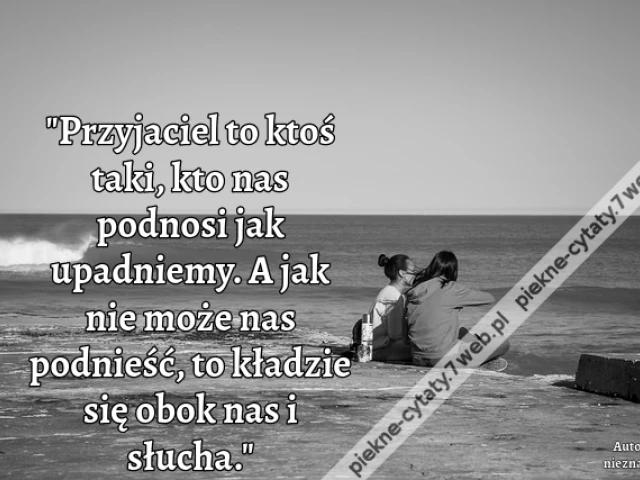 "Przyjaciel to ktoś taki, kto nas podnosi jak upadniemy. A jak nie może nas podnieść, to kładzie się obok nas i słucha."i