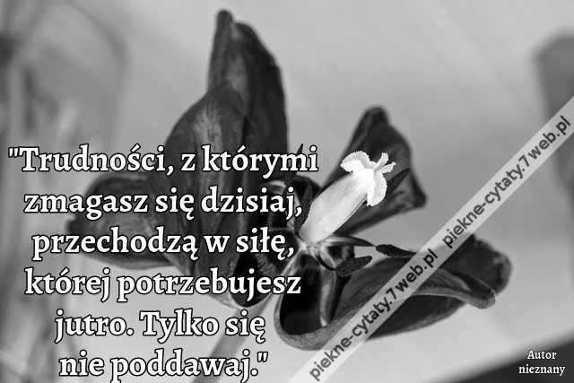 &quot;Trudności, z którymi zmagasz się dzisiaj, przechodzą w siłę, której potrzebujesz jutro. Tylko się nie poddawaj.&quot;