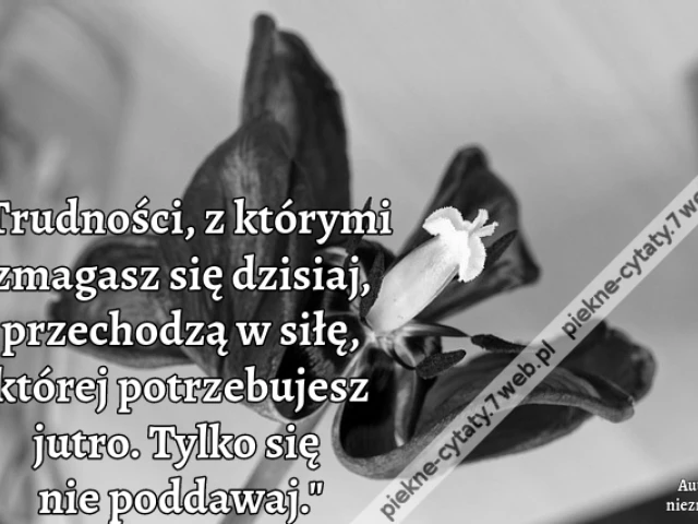 "Trudności, z którymi zmagasz się dzisiaj, przechodzą w siłę, której potrzebujesz jutro. Tylko się nie poddawaj."