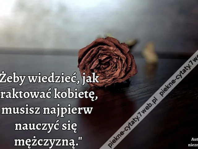 "Żeby wiedzieć, jak traktować kobietę, musisz najpierw nauczyć się być mężczyzną."
