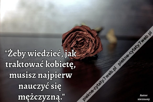 "Żeby wiedzieć, jak traktować kobietę, musisz najpierw nauczyć się być mężczyzną."