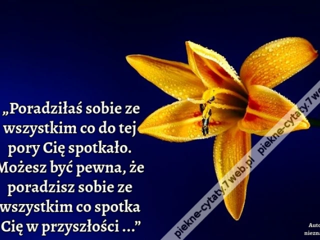 „Poradziłaś sobie ze wszystkim co do tej pory Cię spotkało. Możesz być pewna, że poradzisz sobie ze wszystkim co spotka Cię w przyszłości ...”