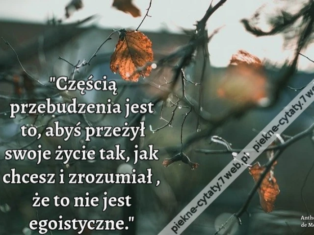 Częścią przebudzenia jest to, abyś przeżył swoje życie tak, jak chcesz i zrozumiał , że to nie jest egoistyczne.