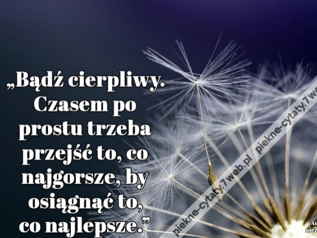 „Bądź cierpliwy. Czasem po prostu trzeba przejść to, co najgorsze, by osiągnąć to, co najlepsze.”