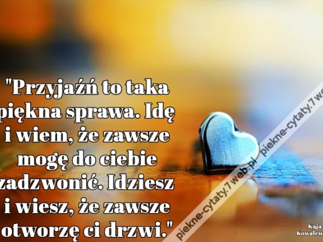"Przyjaźń to taka piękna sprawa. Idę i wiem, że zawsze mogę do ciebie zadzwonić. Idziesz i wiesz, że zawsze otworzę ci drzwi."