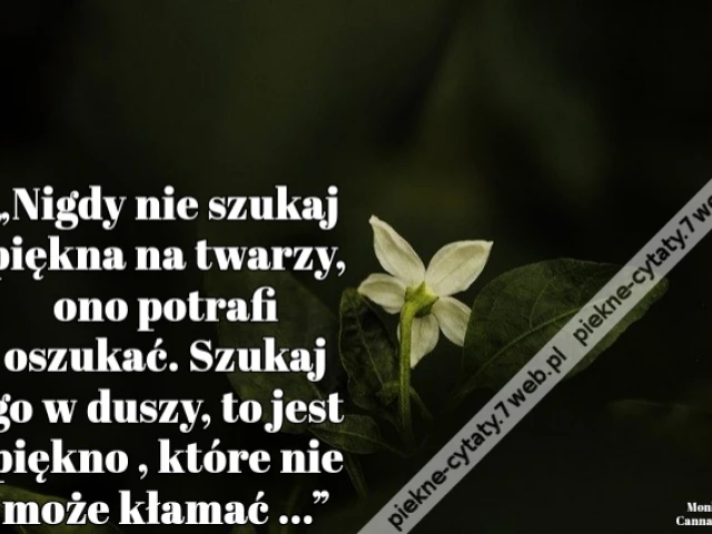 „Nigdy nie szukaj piękna na twarzy, ono potrafi oszukać. Szukaj go w duszy, to jest piękno , które nie może kłamać ...”