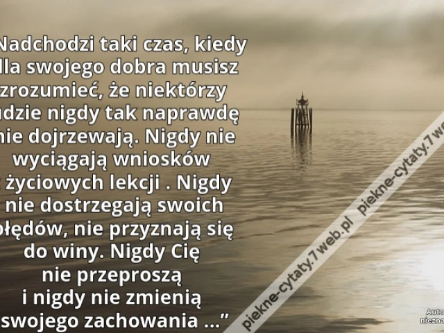 „Nadchodzi taki czas, kiedy dla swojego dobra musisz zrozumieć, że niektórzy ludzie nigdy tak naprawdę nie dojrzewają. Nigdy nie wyciągają wniosków z życiowych lekcji . Nigdy nie dostrzegają swoich błędów , nie przyznają się do winy. Nigdy Cię nie przepro