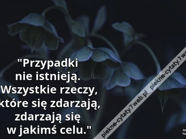 "Przypadki nie istnieją. Wszystkie rzeczy, które się zdarzają, zdarzają się w jakimś celu."