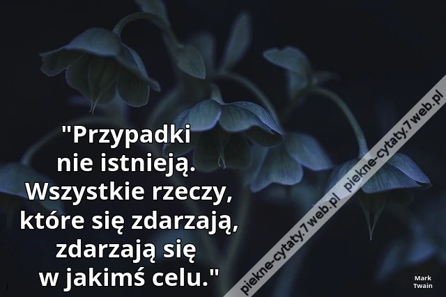 "Przypadki nie istnieją. Wszystkie rzeczy, które się zdarzają, zdarzają się w jakimś celu."