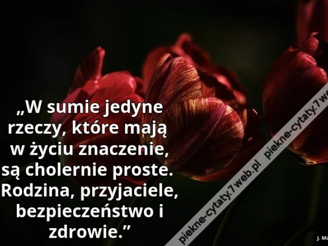 „W sumie jedyne rzeczy, które mają w życiu znaczenie, są cholernie proste. Rodzina, przyjaciele, bezpieczeństwo i zdrowie.”