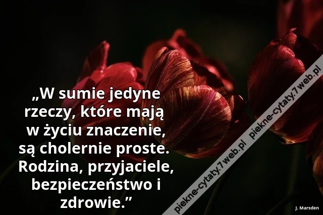 „W sumie jedyne rzeczy, które mają w życiu znaczenie, są cholernie proste. Rodzina, przyjaciele, bezpieczeństwo i zdrowie.”