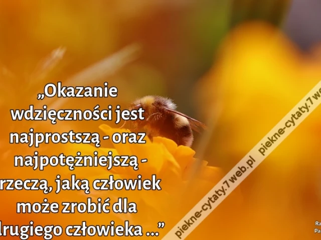 „Okazanie wdzięczności jest najprostszą - oraz najpotężniejszą - rzeczą, jaką człowiek może zrobić dla drugiego człowieka ...”
