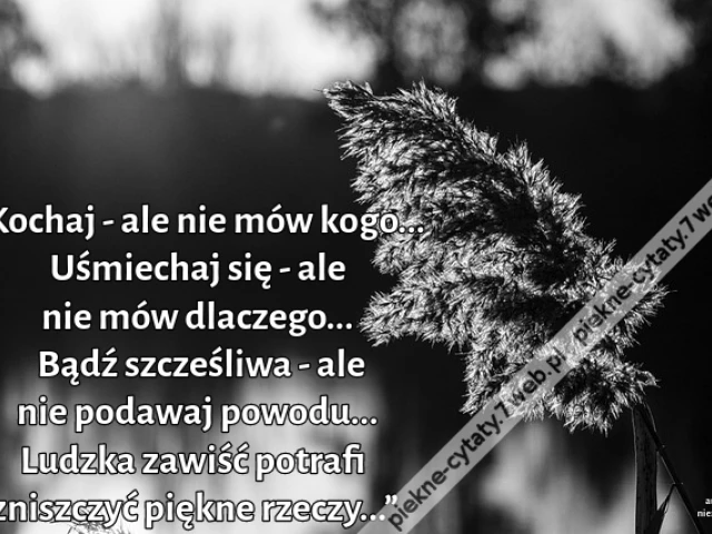 „Kochaj - ale nie mów kogo... Uśmiechaj się - ale nie mów dlaczego... Bądź szcześliwa - ale nie podawaj powodu...  Ludzka zawiść potrafi zniszczyć piękne rzeczy...”