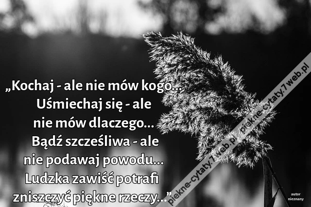 „Kochaj - ale nie mów kogo... Uśmiechaj się - ale nie mów dlaczego... Bądź szcześliwa - ale nie podawaj powodu... Ludzka zawiść potrafi zniszczyć piękne rzeczy...”