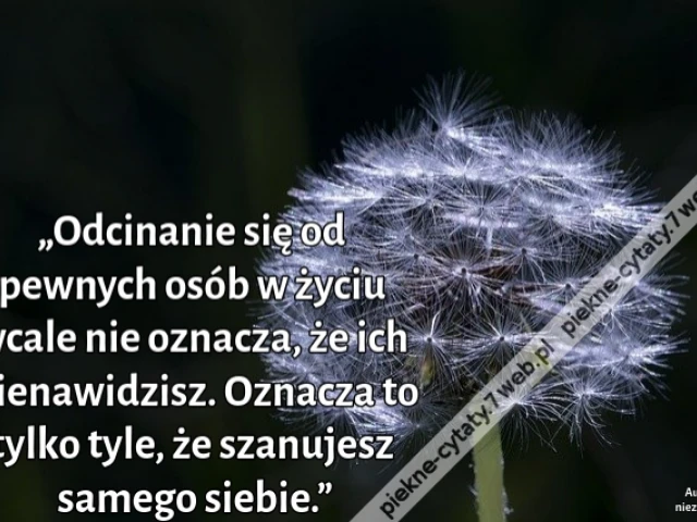 „Odcinanie się od pewnych osób w życiu wcale nie oznacza, że ich nienawidzisz. Oznacza to tylko tyle, że szanujesz samego siebie.”
