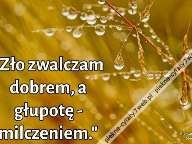 "Zło zwalczam dobrem, a głupotę - milczeniem."