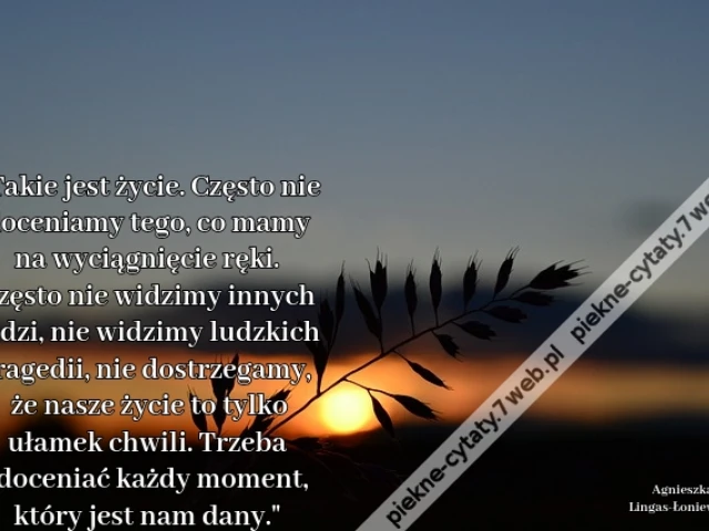 Takie jest życie. Często nie doceniamy tego, co mamy na wyciągnięcie ręki. Często nie widzimy innych ludzi, nie widzimy ludzkich tragedii, nie dostrzegamy, że nasze życie to tylko ułamek chwili. Trzeba doceniać każdy moment, który jest nam dany.
