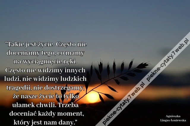 Takie jest życie. Często nie doceniamy tego, co mamy na wyciągnięcie ręki. Często nie widzimy innych ludzi, nie widzimy ludzkich tragedii, nie dostrzegamy, że nasze życie to tylko ułamek chwili. Trzeba doceniać każdy moment, który jest nam dany.