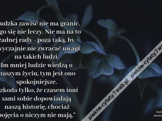 Ludzka zawiść nie ma granic. Tego się nie leczy. Nie ma na to żadnej rady - poza taką, by zwyczajnie nie zwracać uwagi na takich ludzi. Im mniej ludzie wiedzą o naszym życiu, tym jest ono spokojniejsze. Szkoda tylko, że czasem inni sami sobie dopowiadają