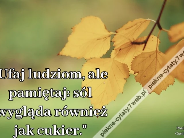 Ufaj ludziom, ale pamiętaj: sól wygląda również jak cukier.