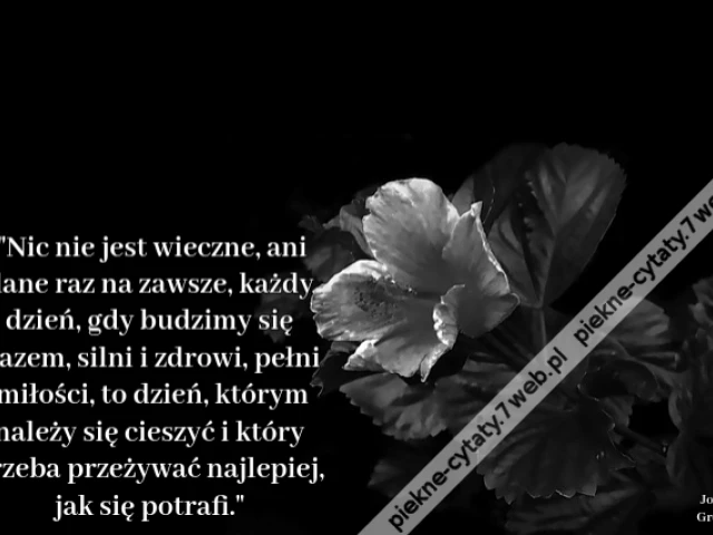 Nic nie jest wieczne, ani dane raz na zawsze, każdy dzień, gdy budzimy się razem, silni i zdrowi, pełni miłości, to dzień, którym należy się cieszyć i który trzeba przeżywać najlepiej, jak się potrafi.