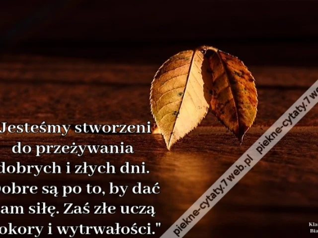 Jesteśmy stworzeni do przeżywania dobrych i złych dni. Dobre są po to, by dać nam siłę. Zaś źle uczą pokory i wytrwałości.